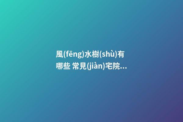 風(fēng)水樹(shù)有哪些 常見(jiàn)宅院風(fēng)水樹(shù)有哪些